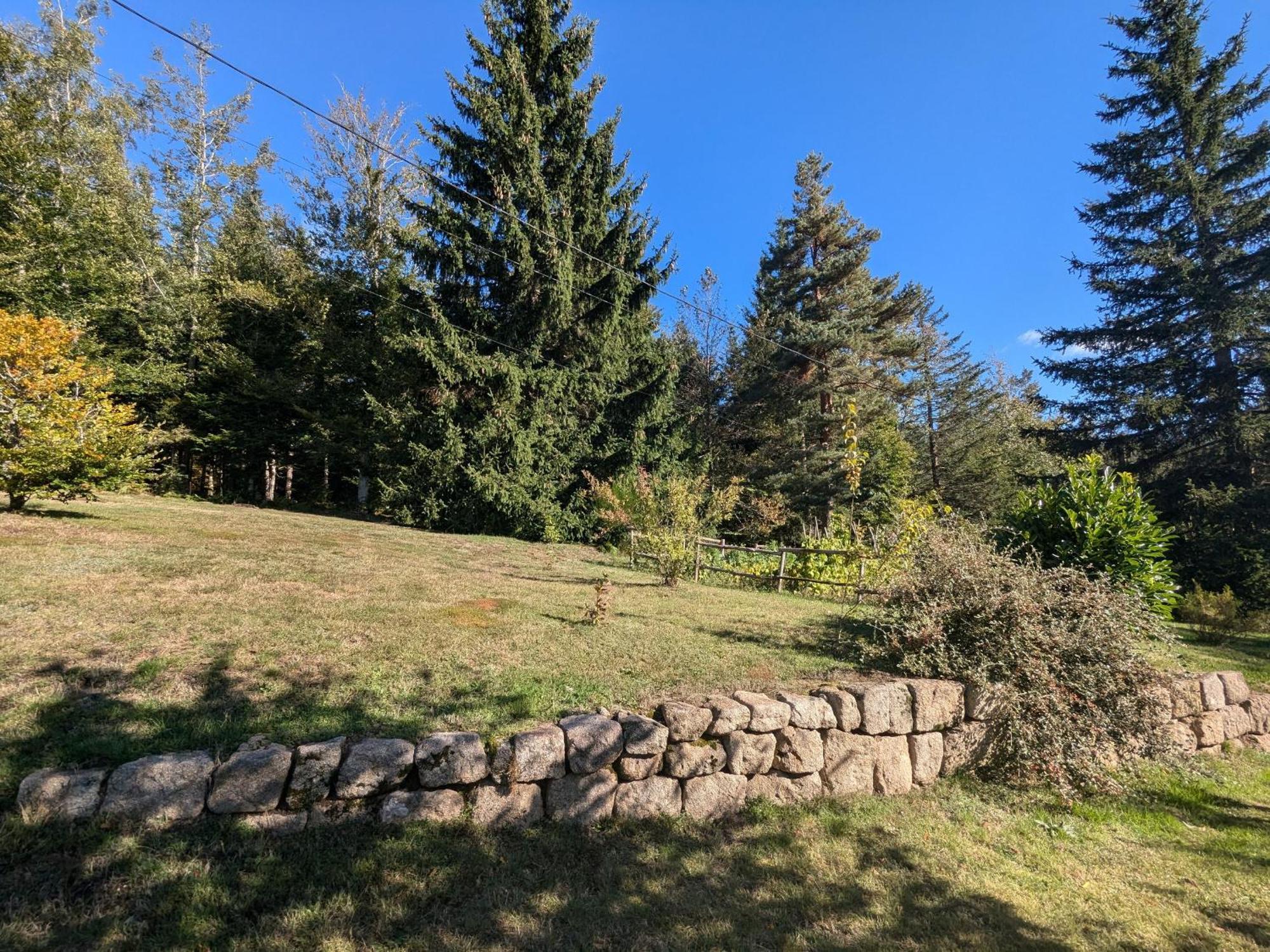 Gite Nature Au Chambon-Sur-Lignon: Terrasse, Wifi, Proche Activites Et Commerces - Fr-1-582-137 Le Chambon-sur-Lignon Eksteriør billede